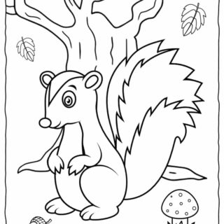 Squirrel Coloring Page | Planerium