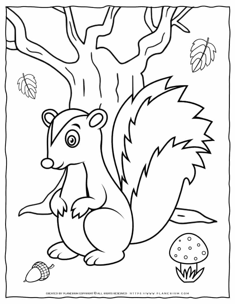 Squirrel Coloring Page | Planerium