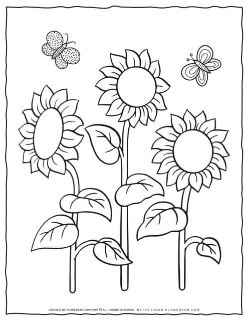 Sunflowers Coloring Page For Kids - Planerium