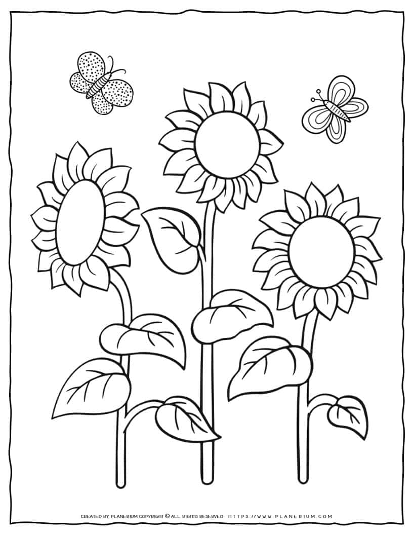 Sunflowers Coloring Page | Planerium