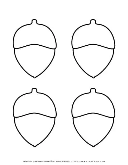 Acorn Outline