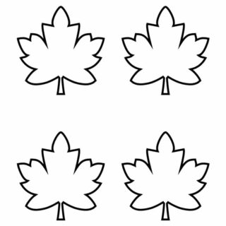 Maple Leaves Template - Four Leaves | Planerium