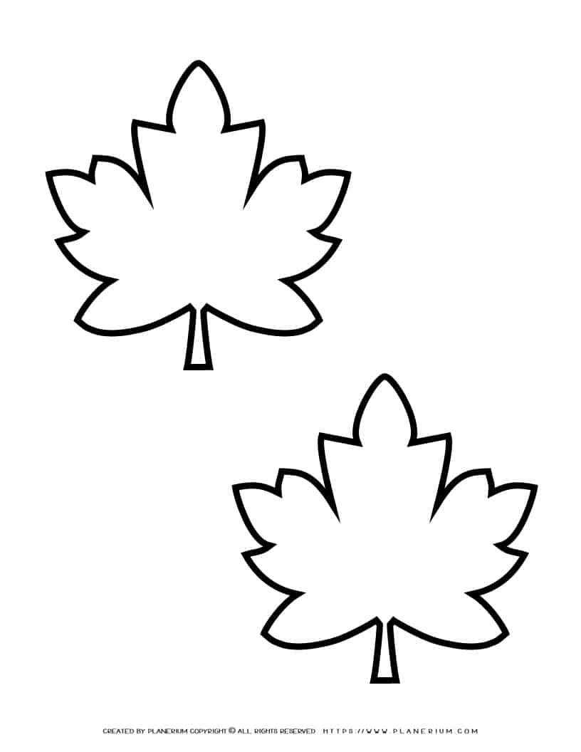Maple Leaves Template - Two Leaves | Planerium