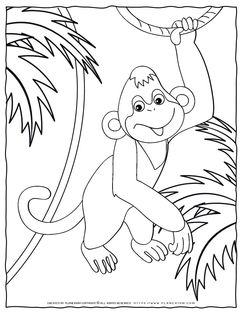 Monkey Coloring Page | Planerium