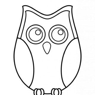 Owl Template | Planerium