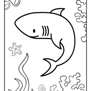 Shark Coloring Page | Planerium