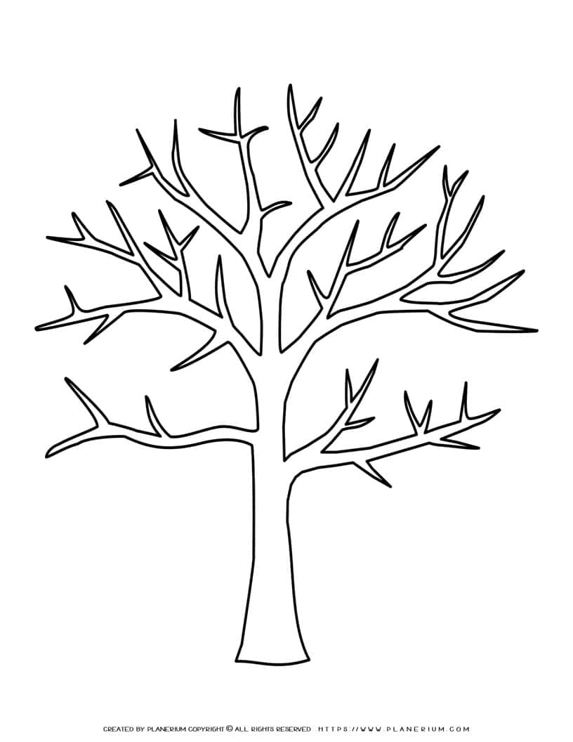 Tree Outline - Leafless Tree | Planerium