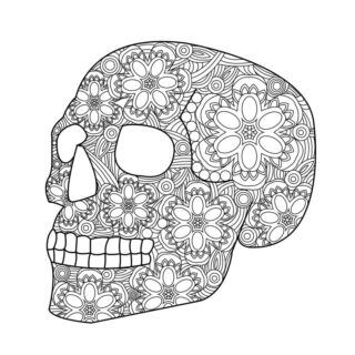 Decorative Skull | Planerium