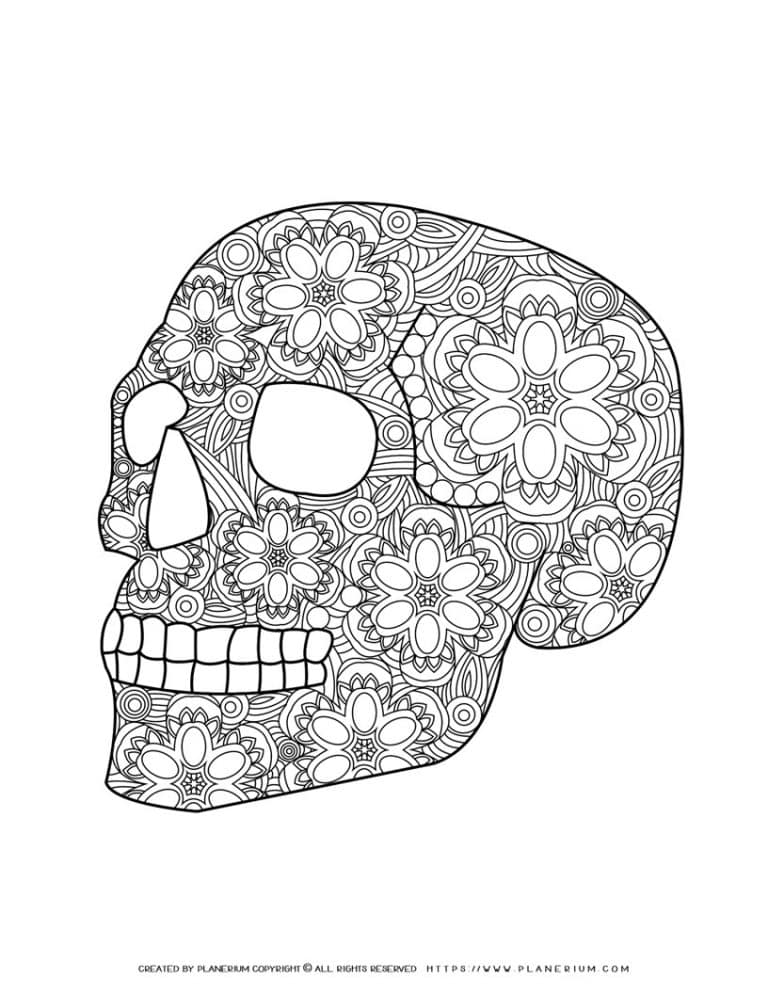 Decorative Skull | Planerium