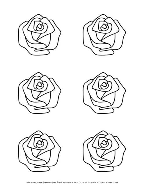 Rose Outline - Six Roses | Planerium
