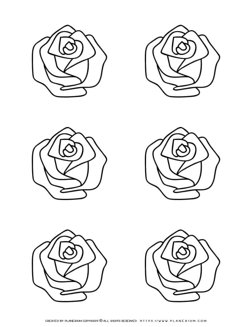 Rose Outline - Six Roses | Planerium