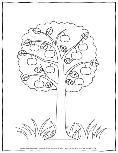 Tree Coloring Page - Apple Tree | Planerium
