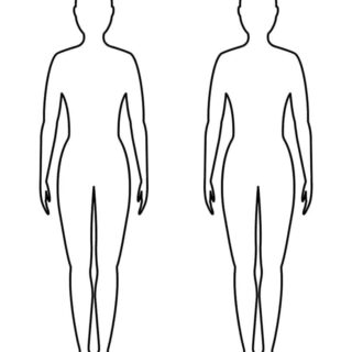 female Body Outline - Two Females | Planerium