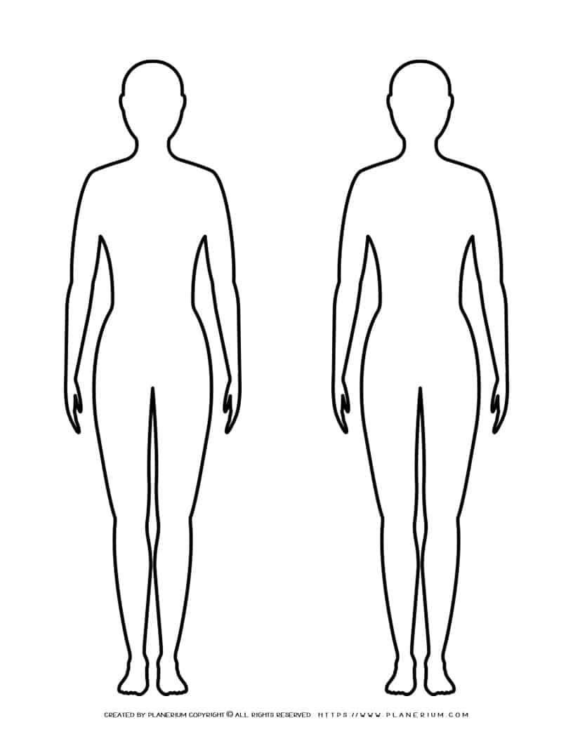 female Body Outline - Two Females | Planerium