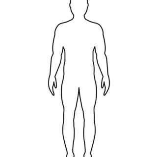 Male Body Outline | Planerium