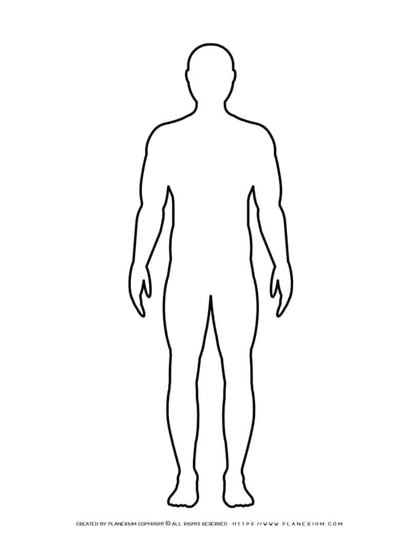 Male Body Outline | Planerium