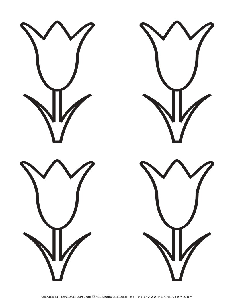 Tulip Template Printable - four Flowers | Planerium