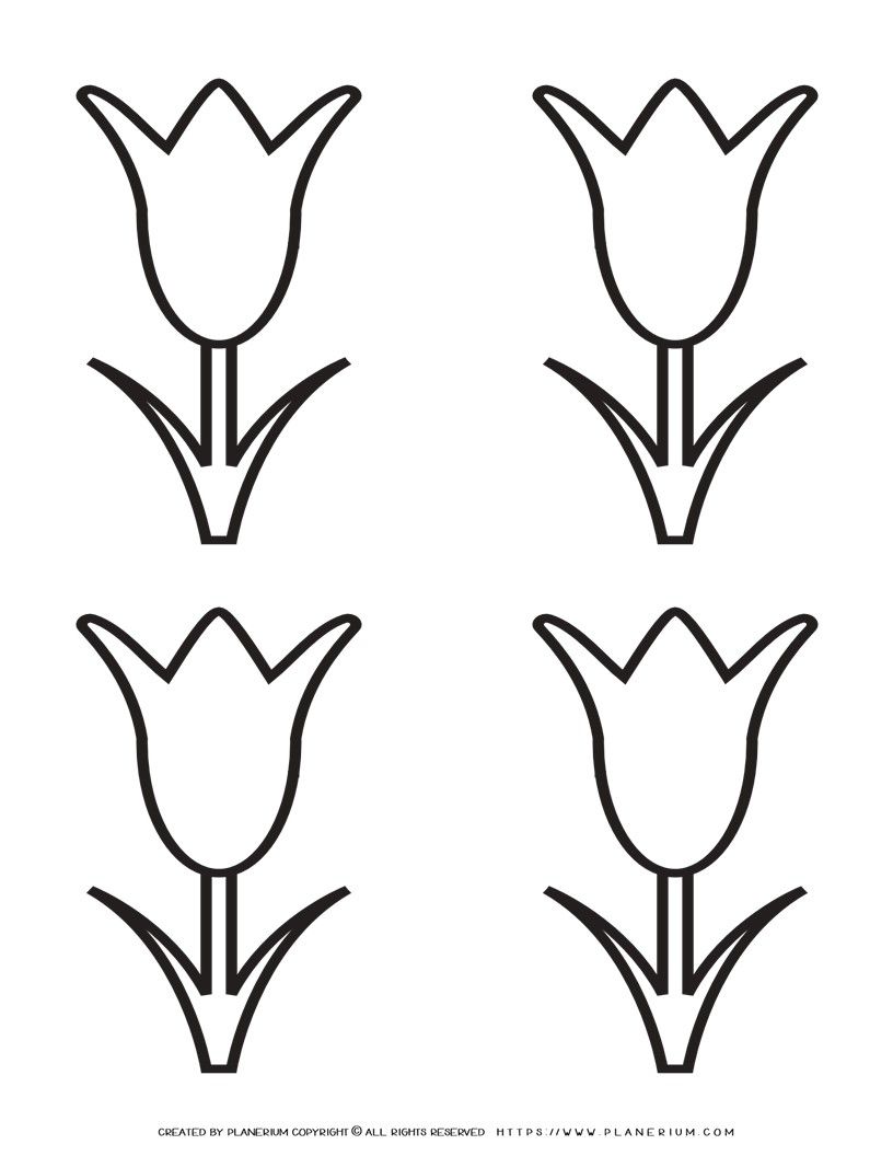 Tulip Template Printable - four Flowers | Planerium