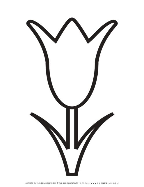 Tulip Template Printable | Planerium