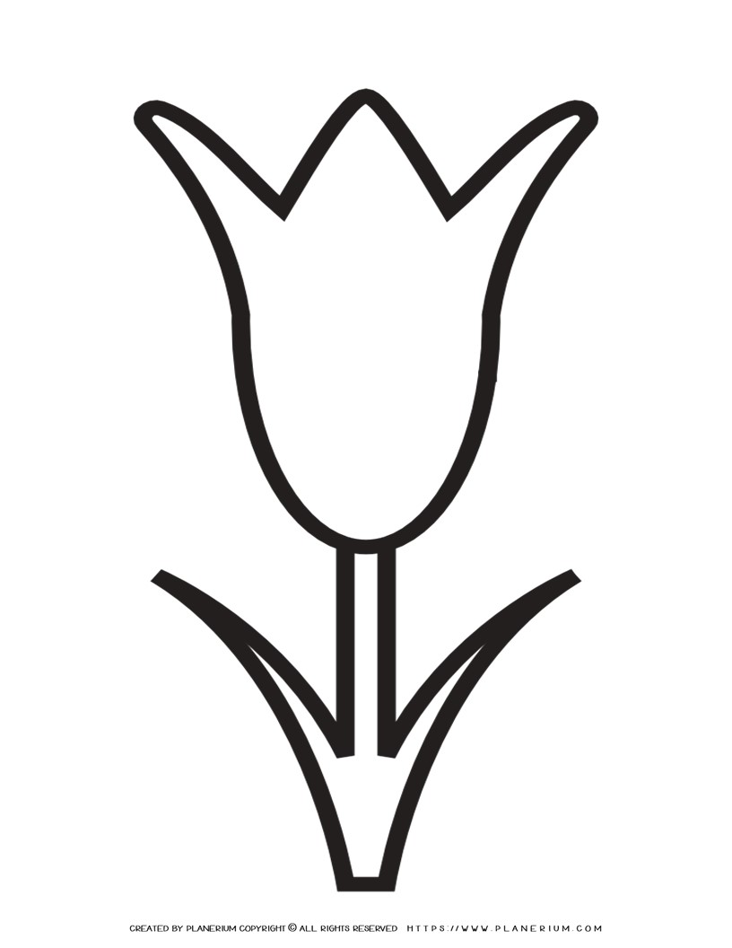A printable tulip template