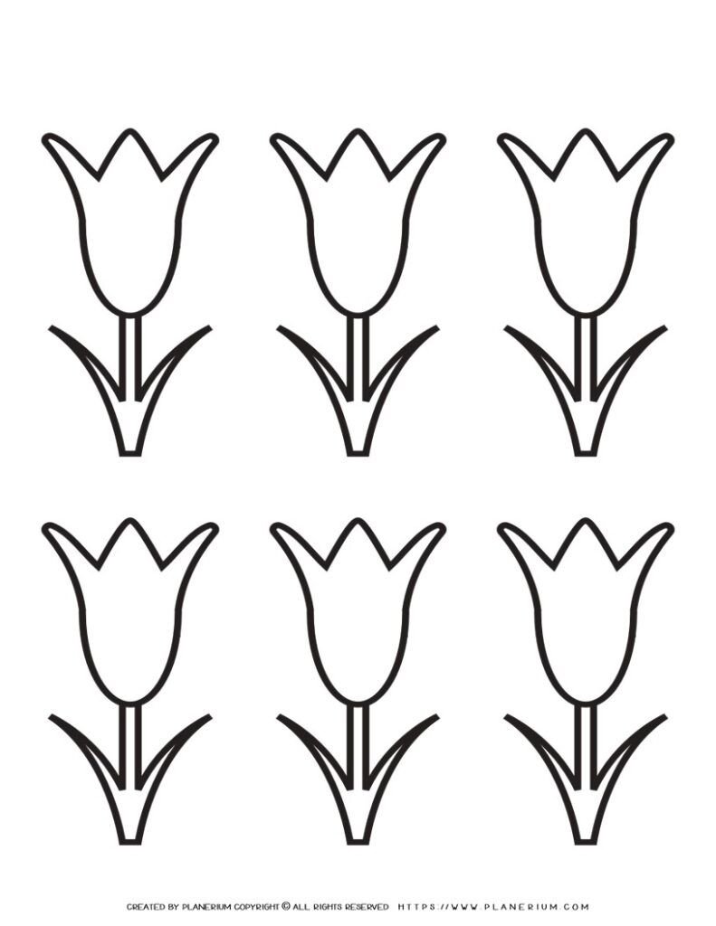 tulip-template-printable-six-flowers-planerium