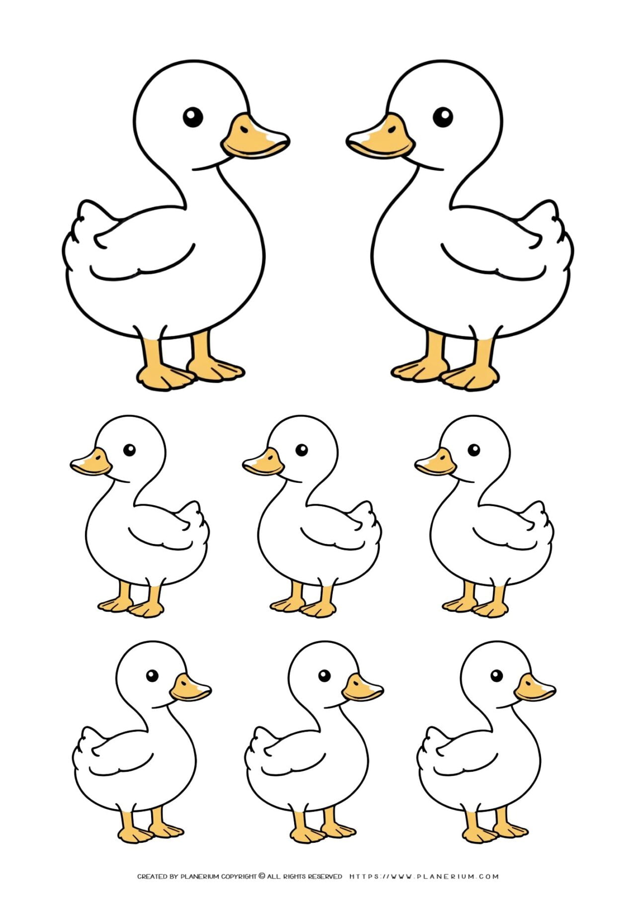 Illustration of multiple cartoon ducks.
