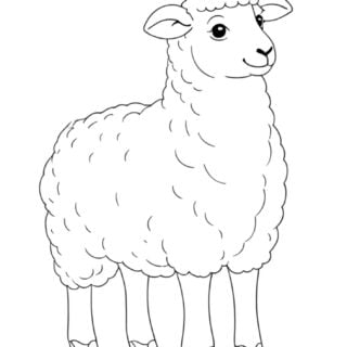 Coloring page of cartoon sheep standing.