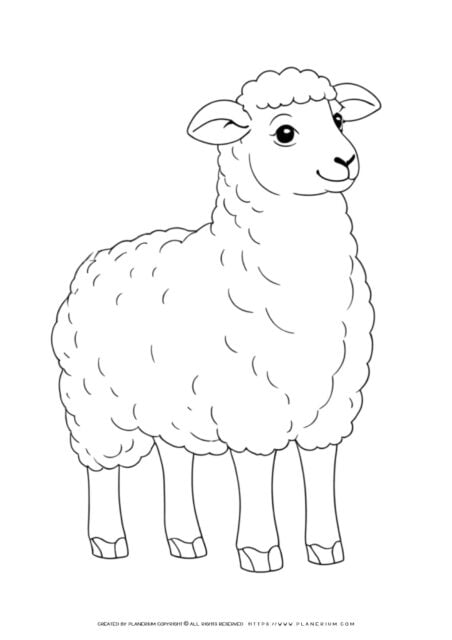 Coloring page of cartoon sheep standing.