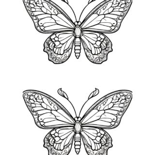 Intricate butterfly coloring pages