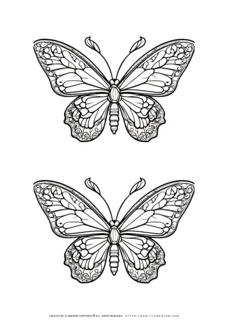 Intricate butterfly coloring pages
