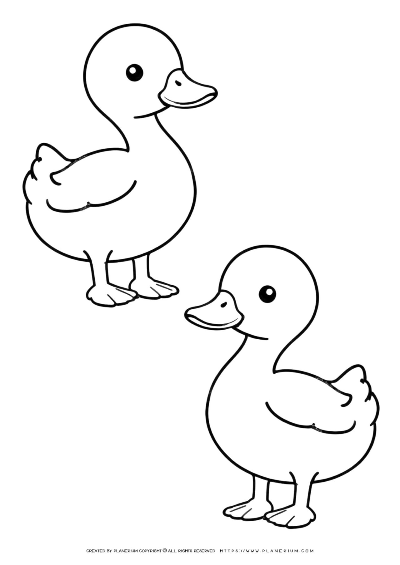 Line art of two ducks for coloring activity.