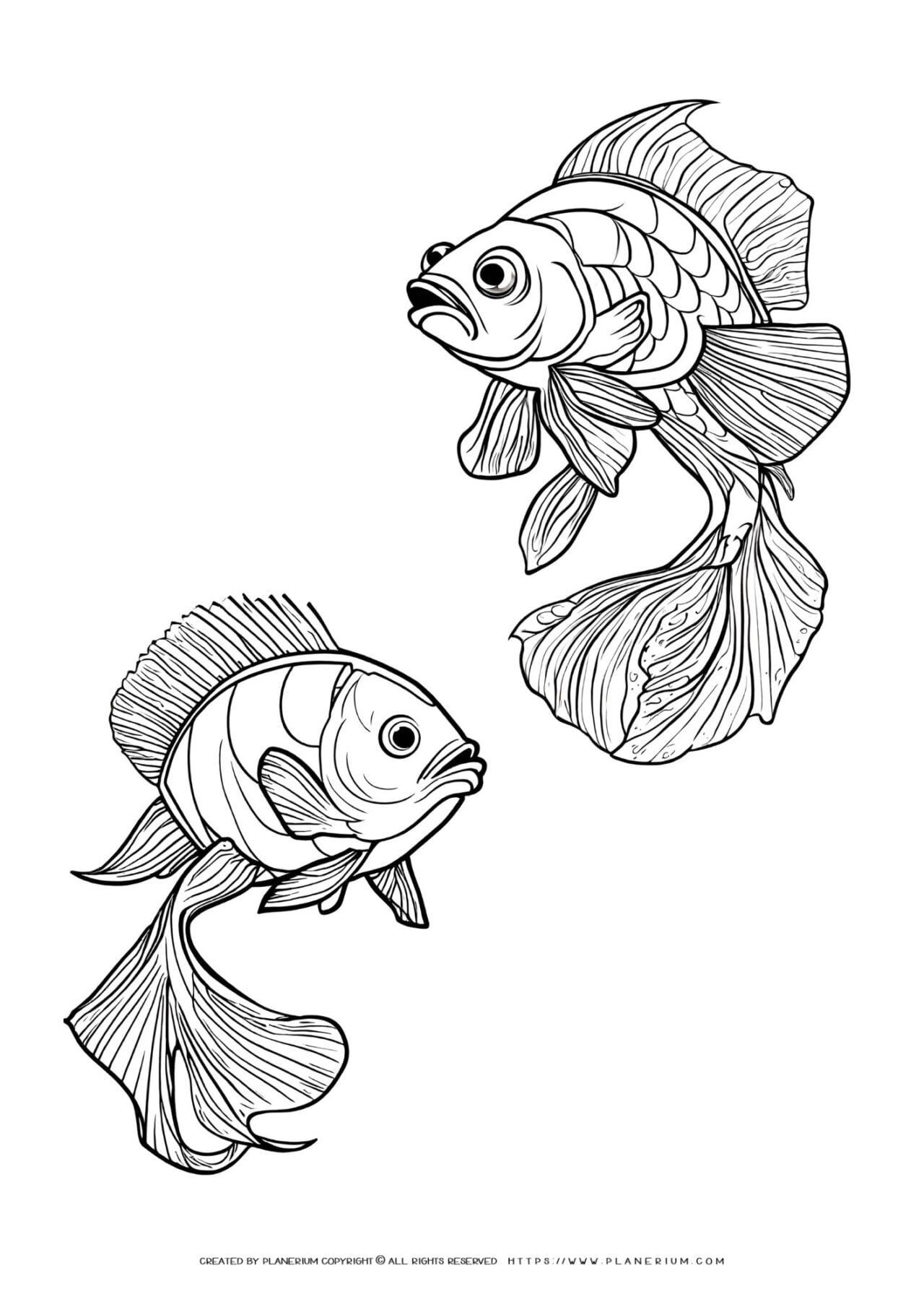 Line art of two ornamental goldfish.