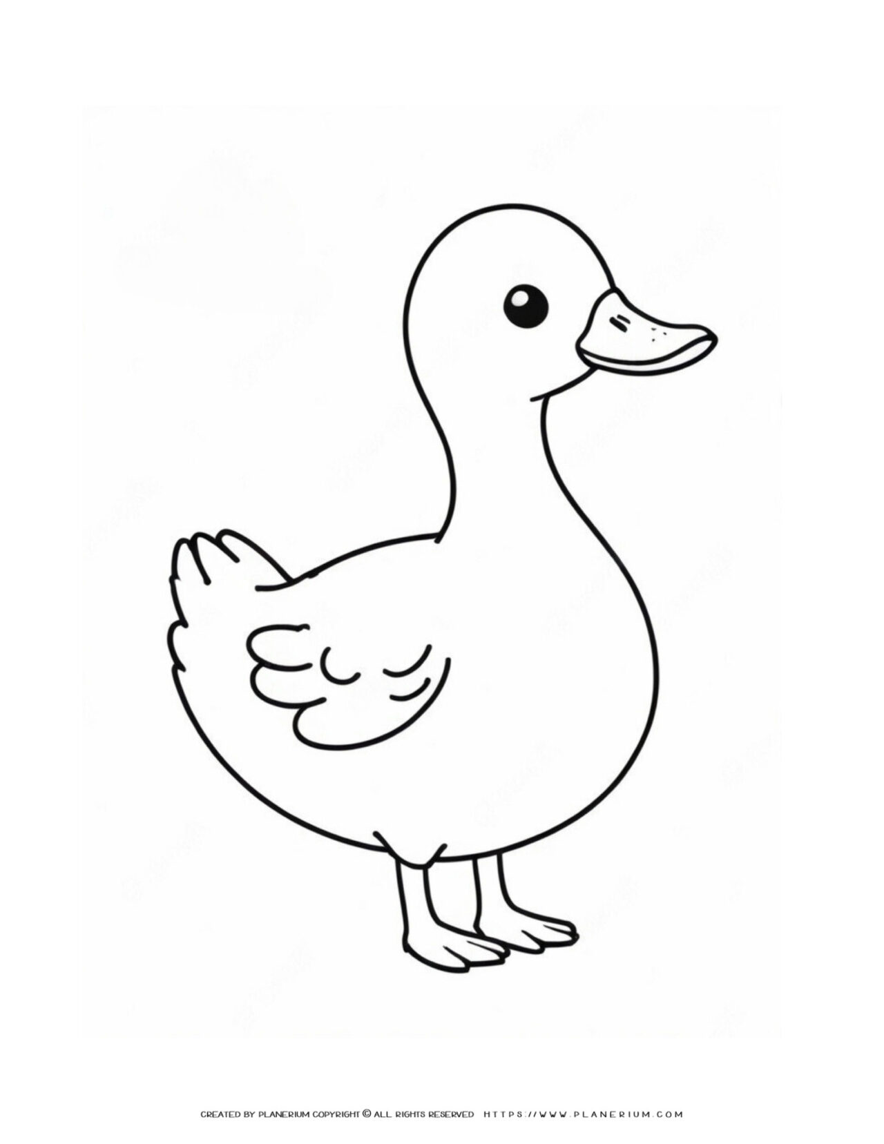 Big-Duck-Outline-Facing-to-the-Right-Simple-Coloring-Page-for-Kids