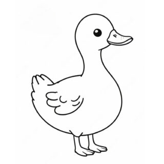 Big-Duck-Outline-Facing-to-the-Right-Simple-Coloring-Page-for-Kids