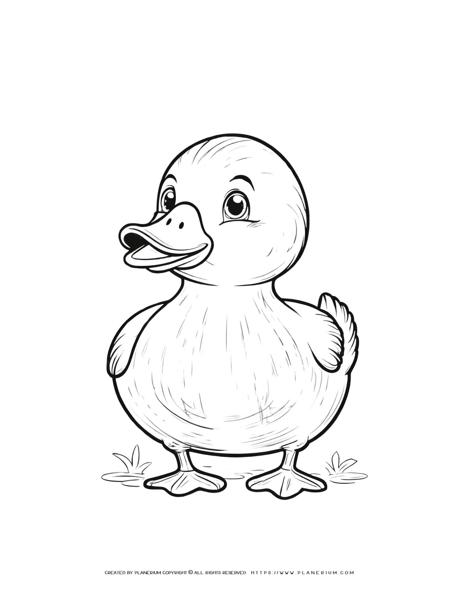 Cute Duckling Printables Coloring Pages 2025 