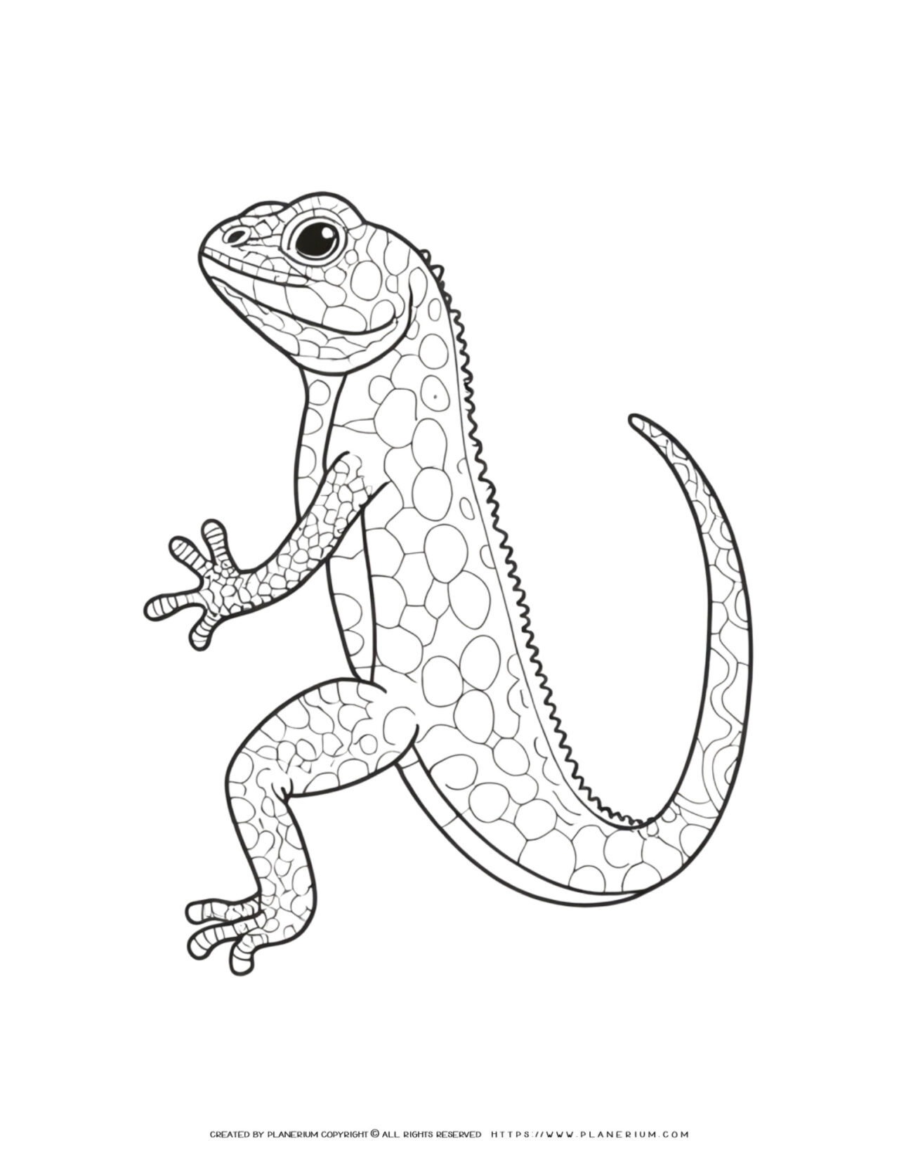Detailed-Lizard-Climbing-Outline-Coloring-Page