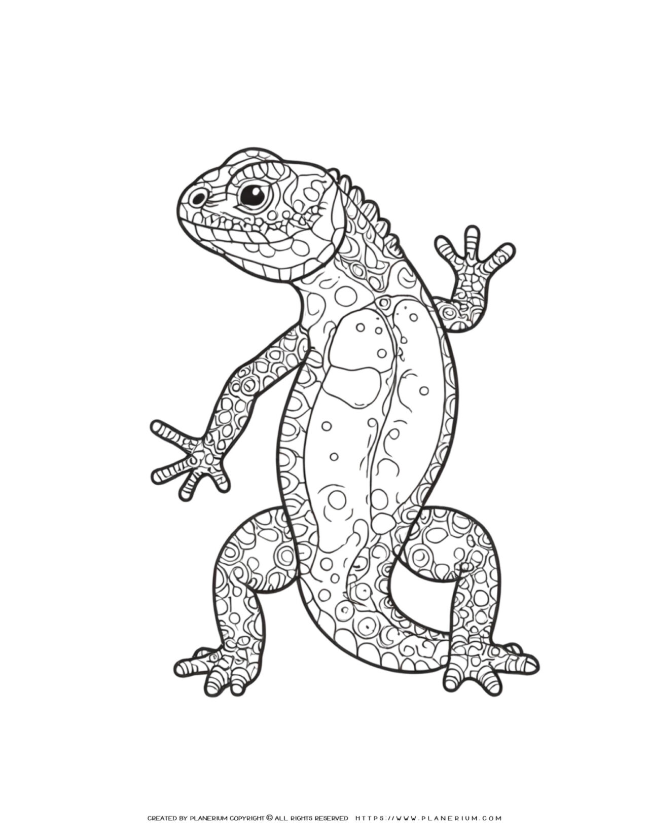 Detailed-Lizard-Outline-Coloring-Page