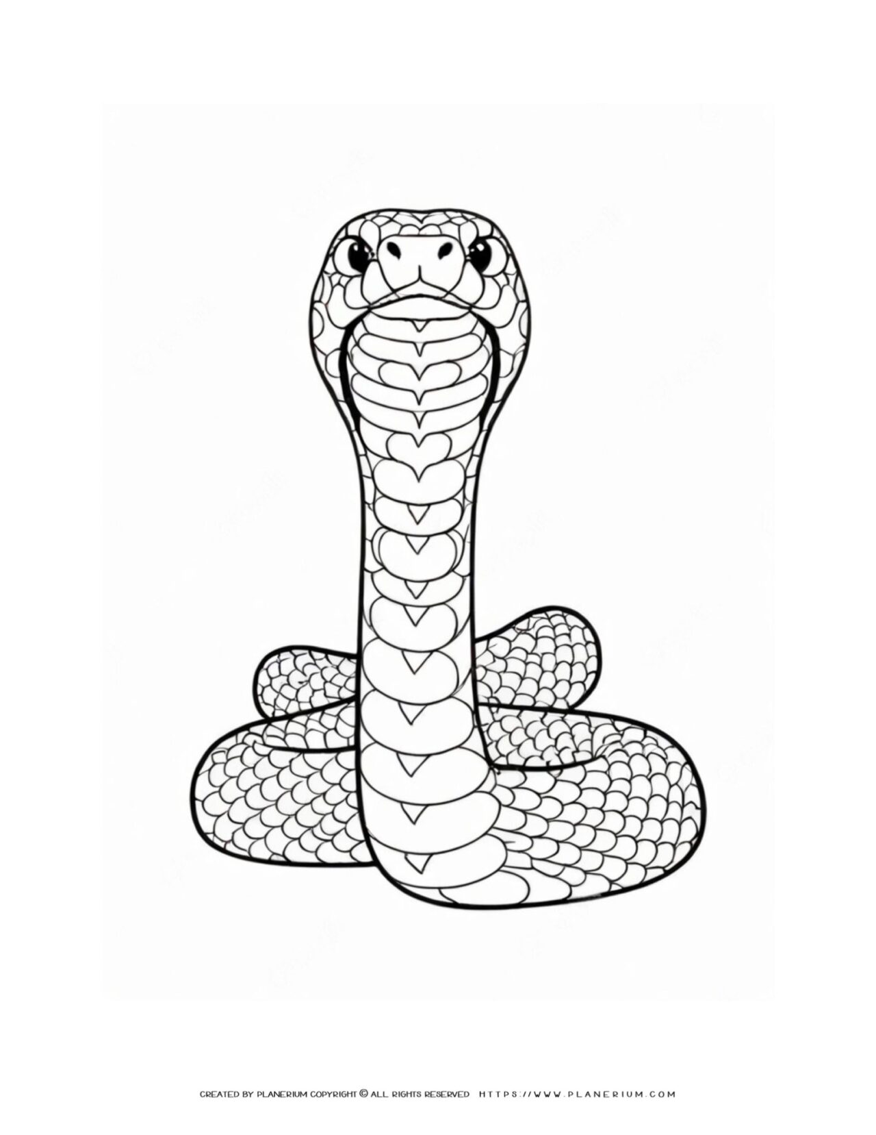 Detailed-Snake-Outline-Animal-Coloring-Page-for-Kids