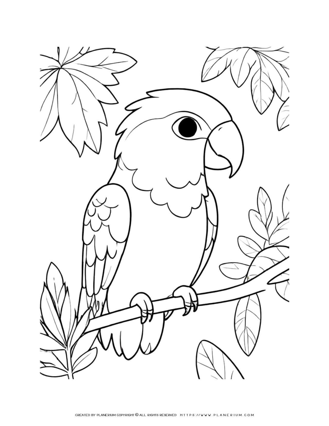 Elegant-Parrot-Resting-on-Branch-Realistic-Bird-Coloring