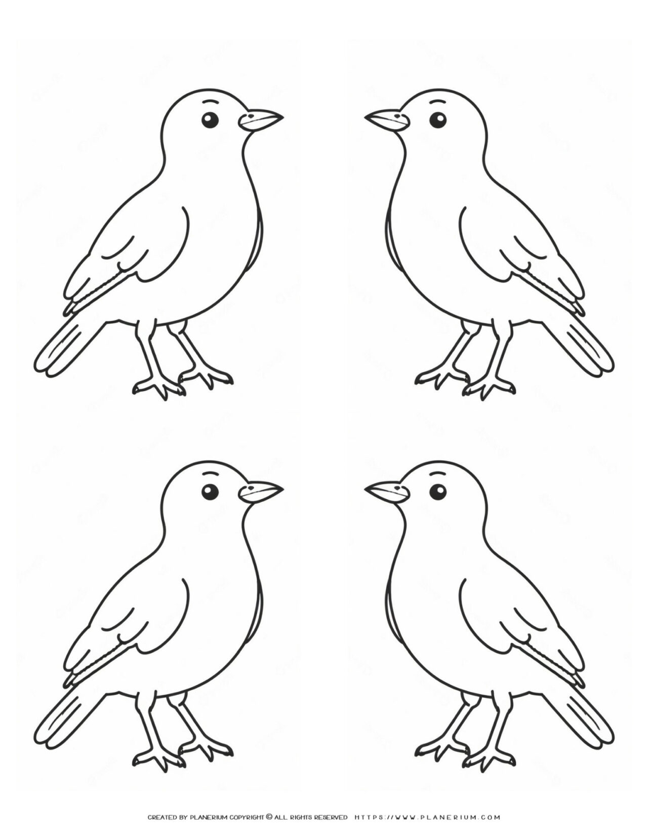 Four-Outlined-Birds-Ready-for-Color