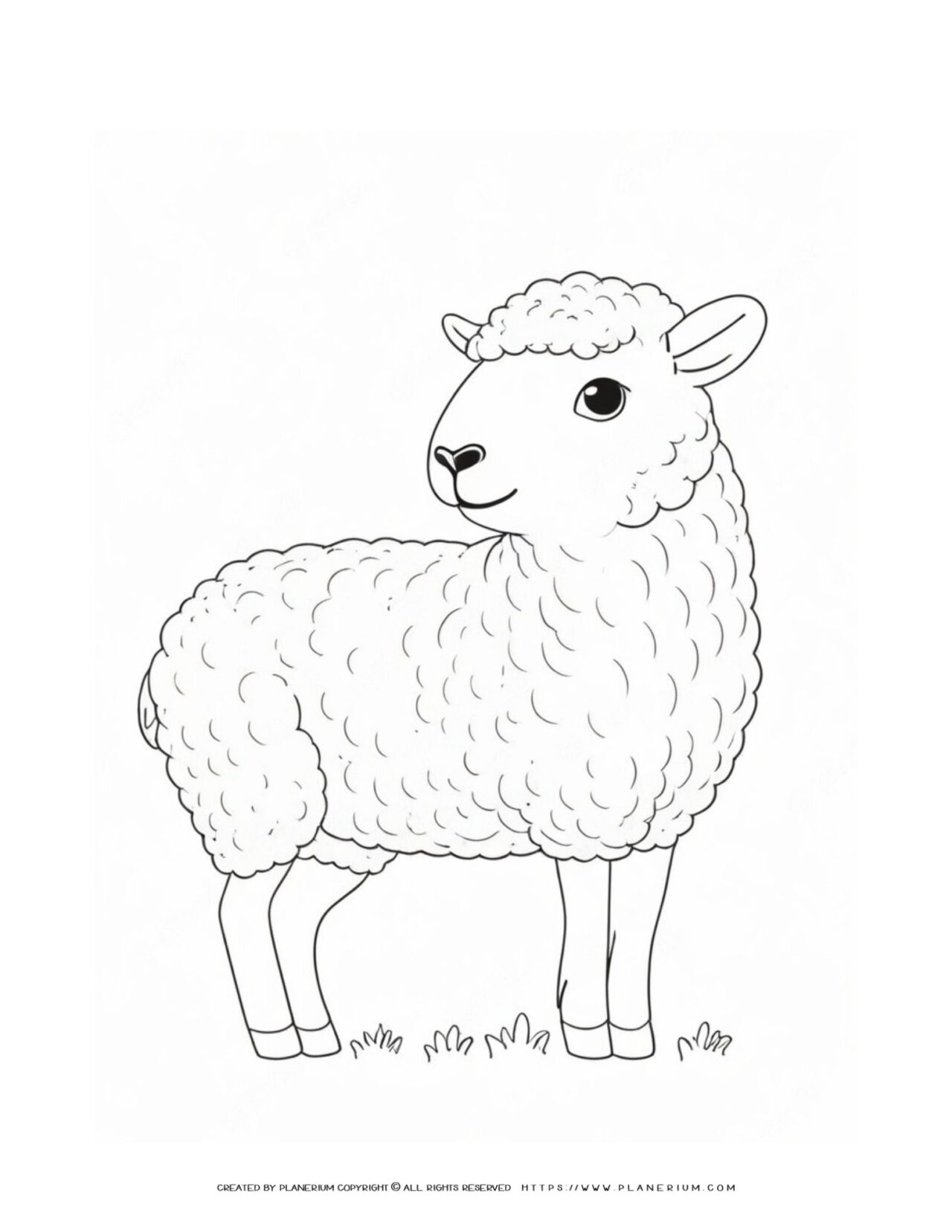 Lamb-Outline-Drawing-Simple-Coloring-Page-for-Kids