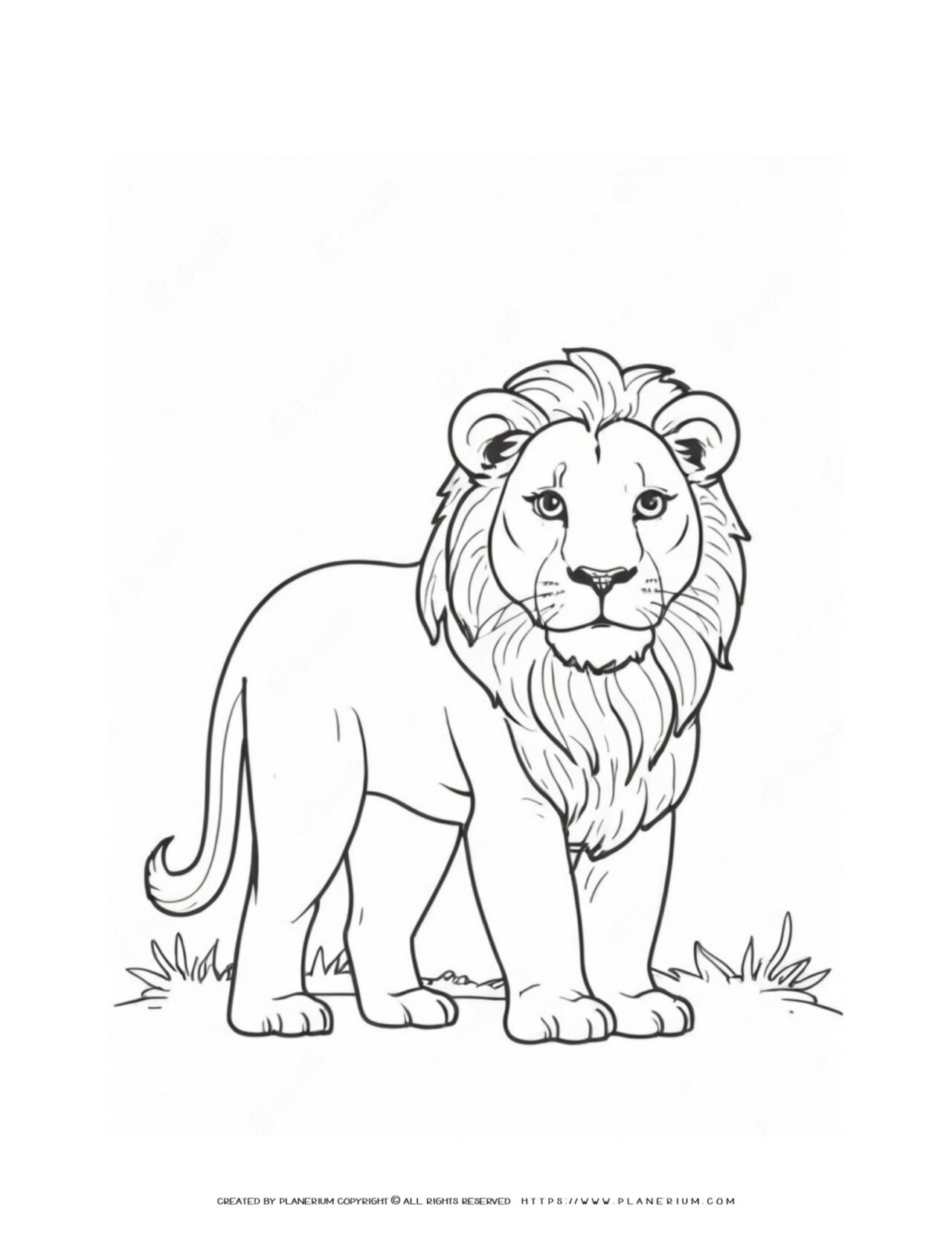 Lion-Outline-Coloring-Page