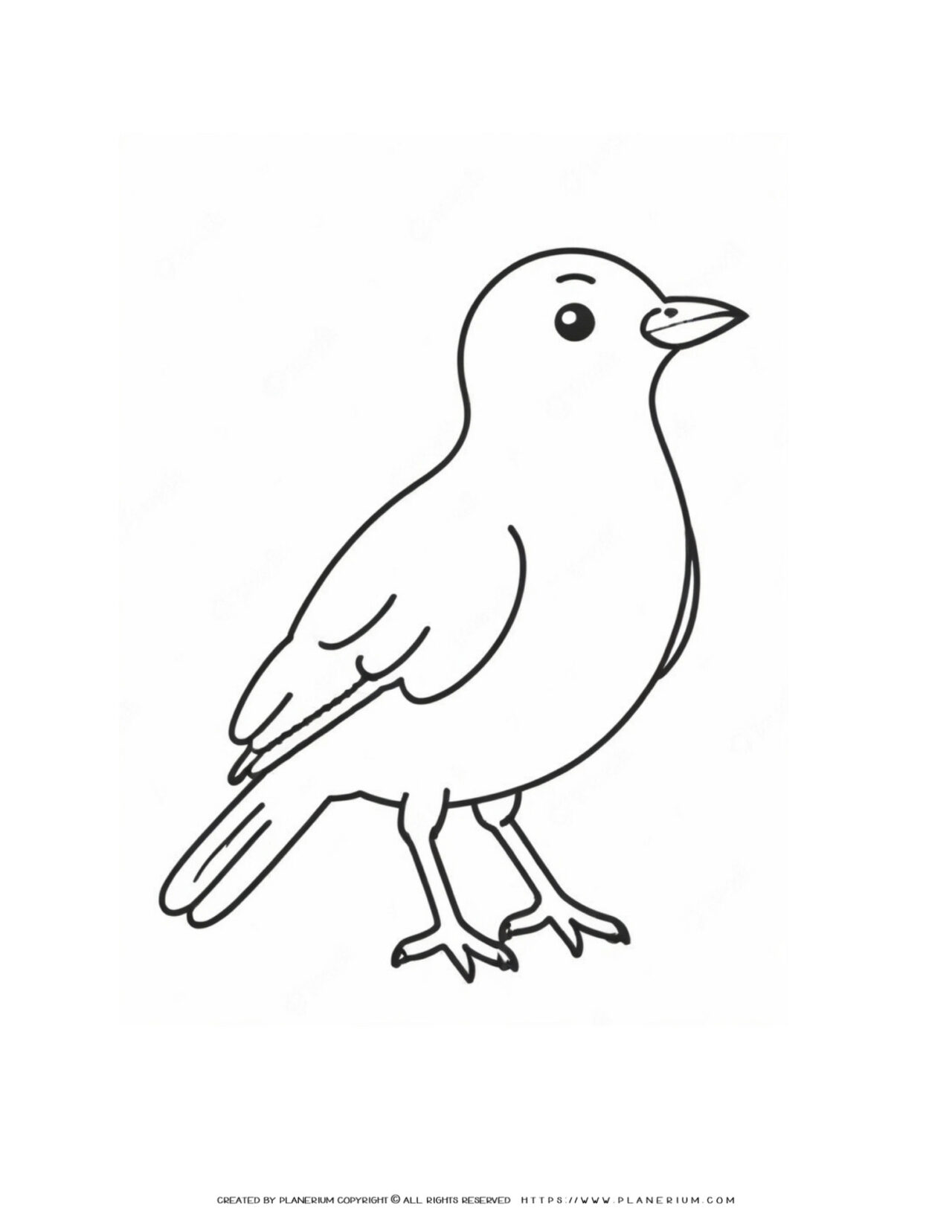 Little-Bird-with-Big-Dreams-Beginner-Bird-Coloring-Page
