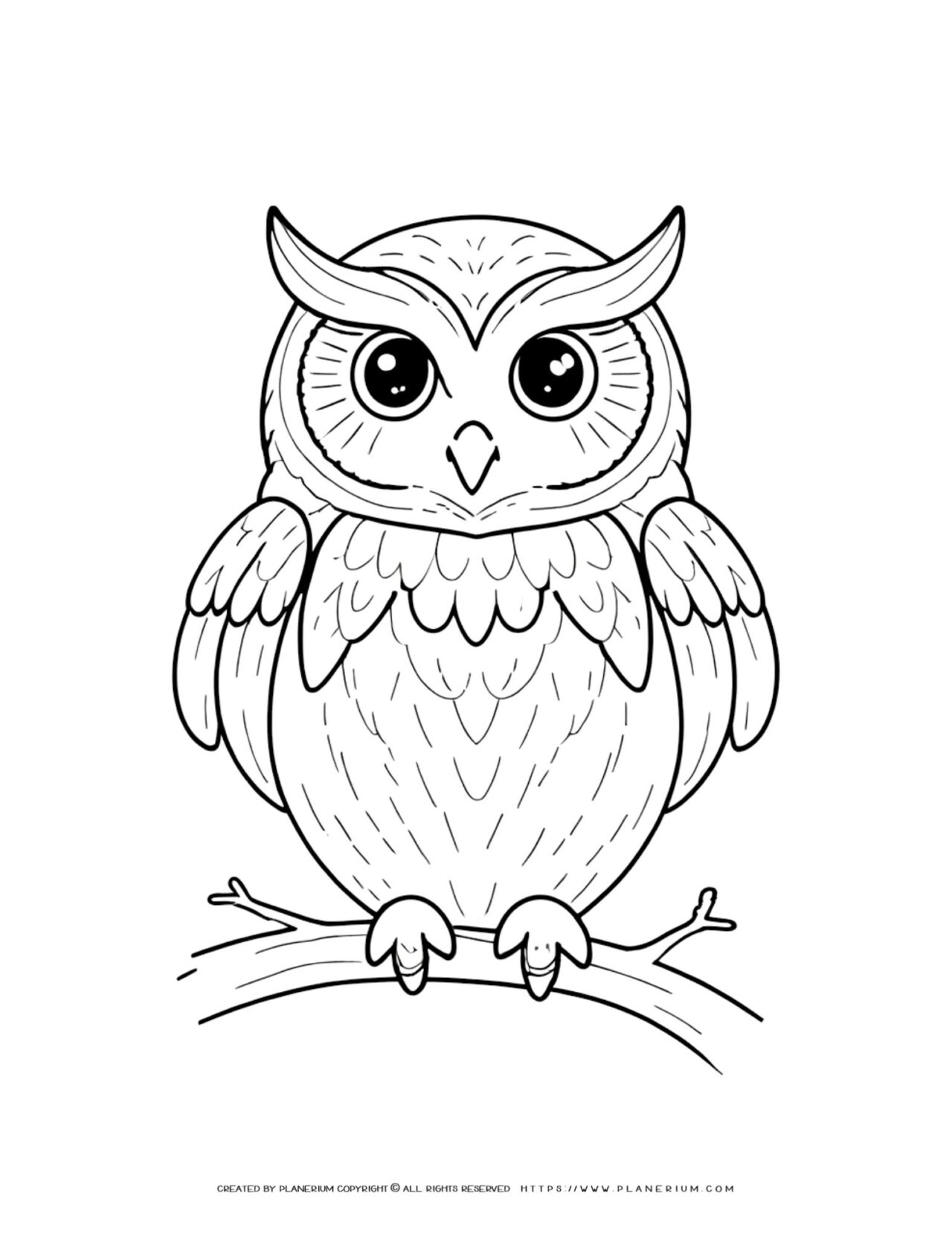 Owl-Outline-on-a-Branch-Animal-Coloring-Page-for-Kids