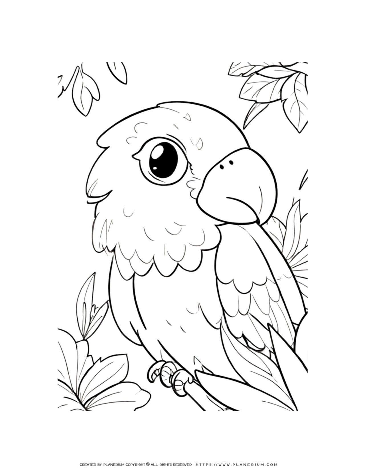 Perched-Parrot-Detailed-Bird-Coloring-Page