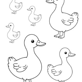 Six-Duck-Outlines-Family-Facing-Left-and-Right-Simple-Coloring-Page