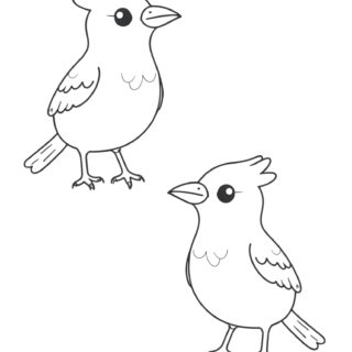 Two-Cute-Cardinal-Birds-Coloring-Pages-for-Kids