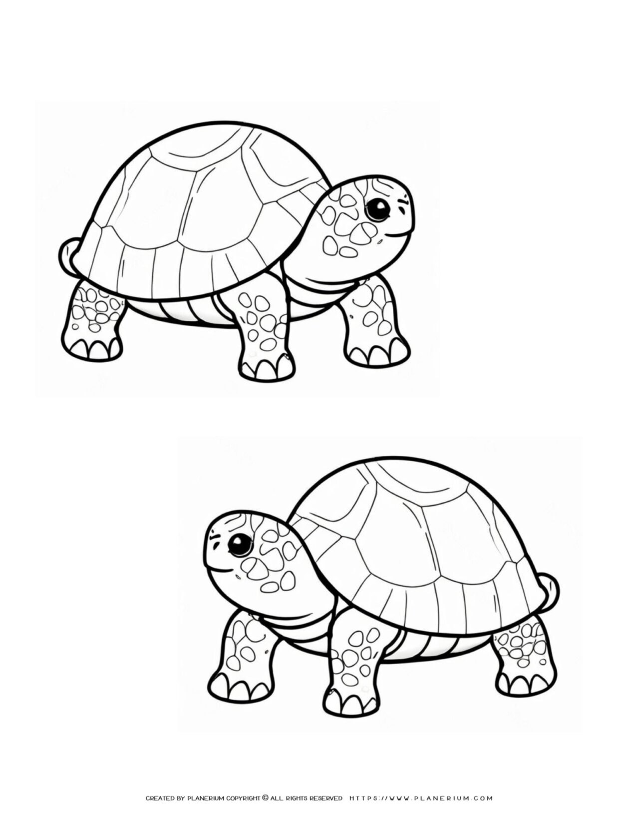 Two-Detailed-Turtles-Cartoon-Style-Coloring-Page-for-Kids
