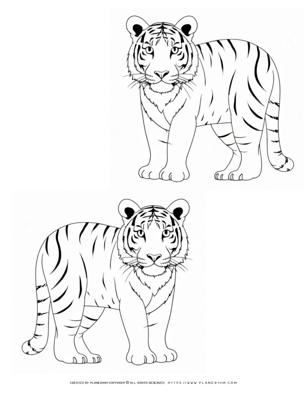 Two-Tigers-Outlines-Animal-Coloring-Page-for-Kids