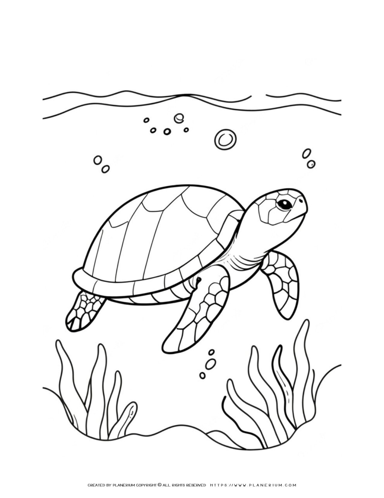 Coloring-page-featuring-underwater-turtle-with-seaweed